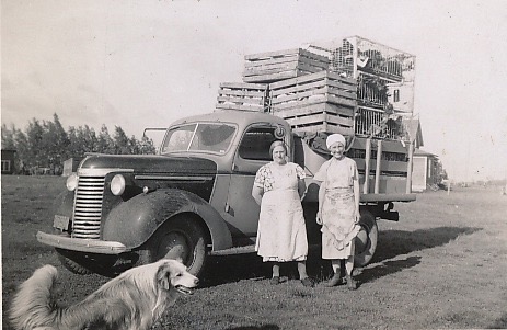 Loading Image