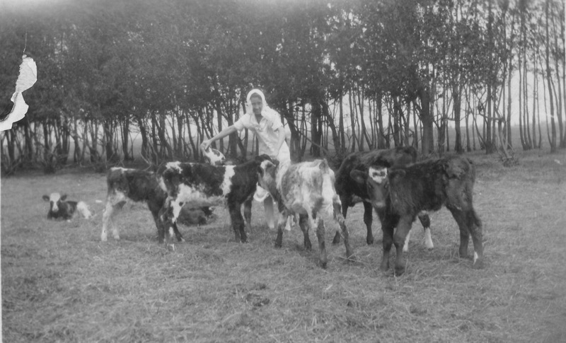Loading Image
