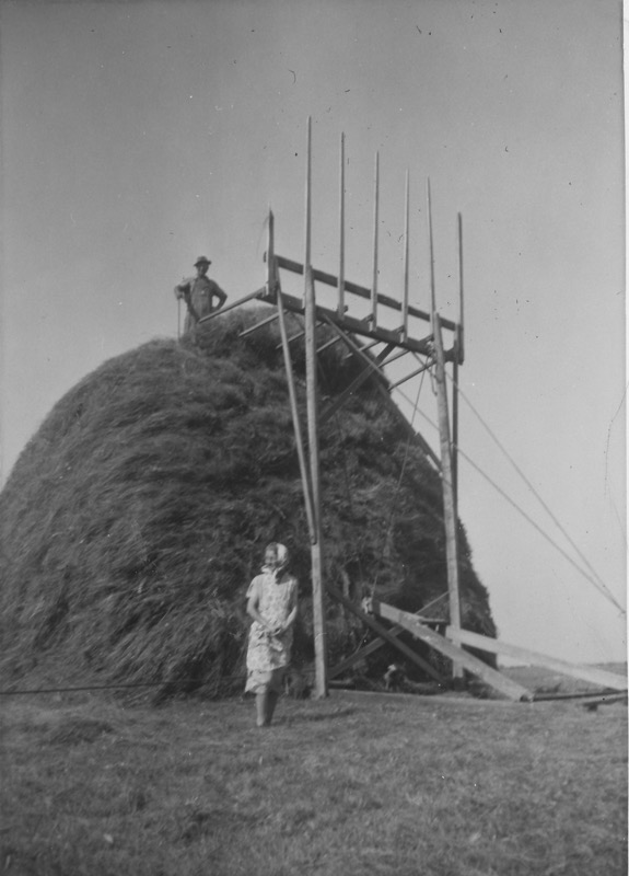 Loading Image